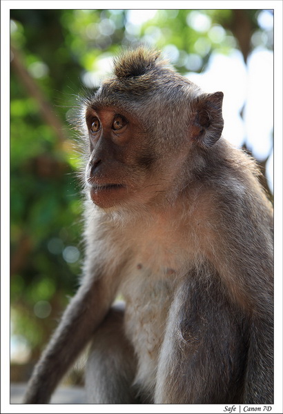 2012 - 07 - Bali - 24